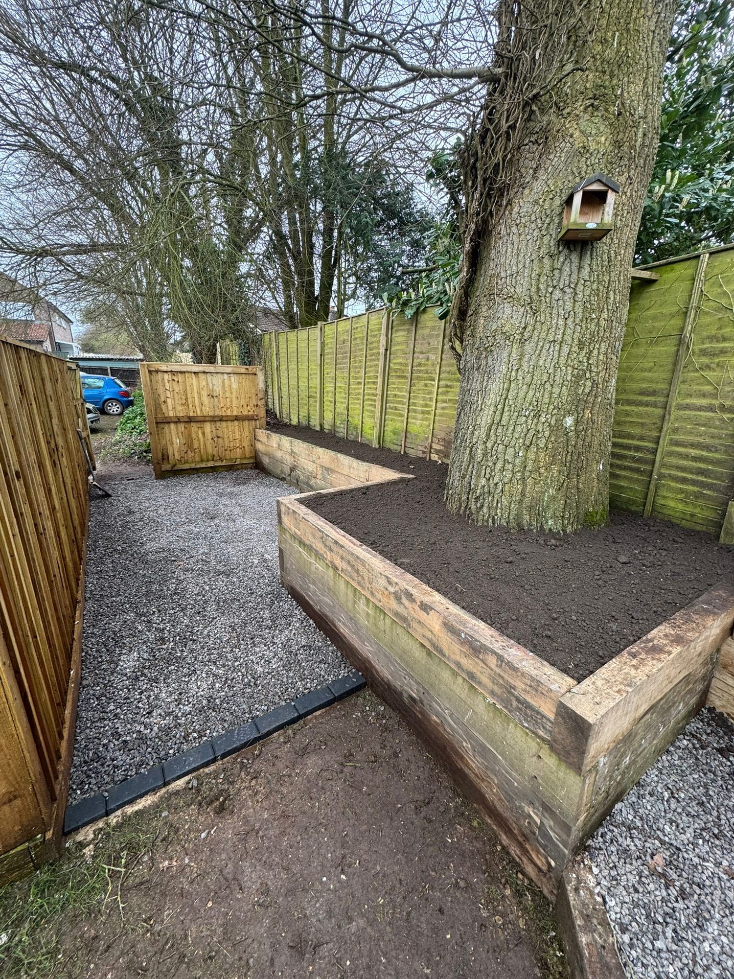 Timber sleeper raised beds built around a mature tree beside a gravelled path
