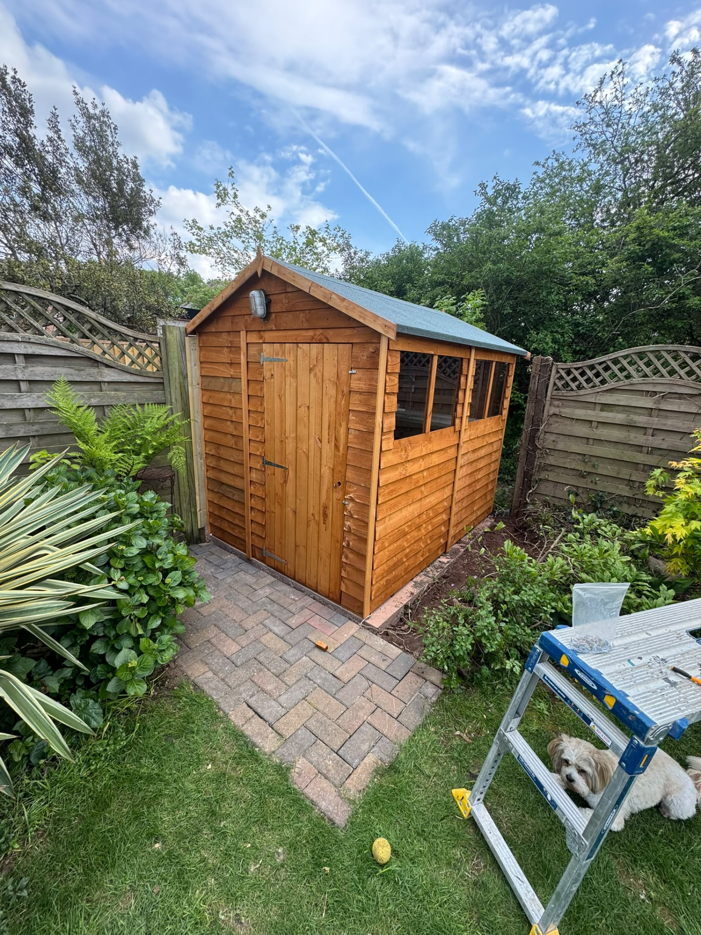 New timber garden shed with felt roof set on a block paved base beside a planted border